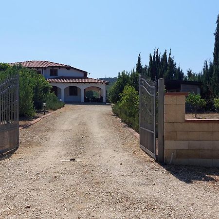 Villa Rosemary 奥尔梅多 外观 照片